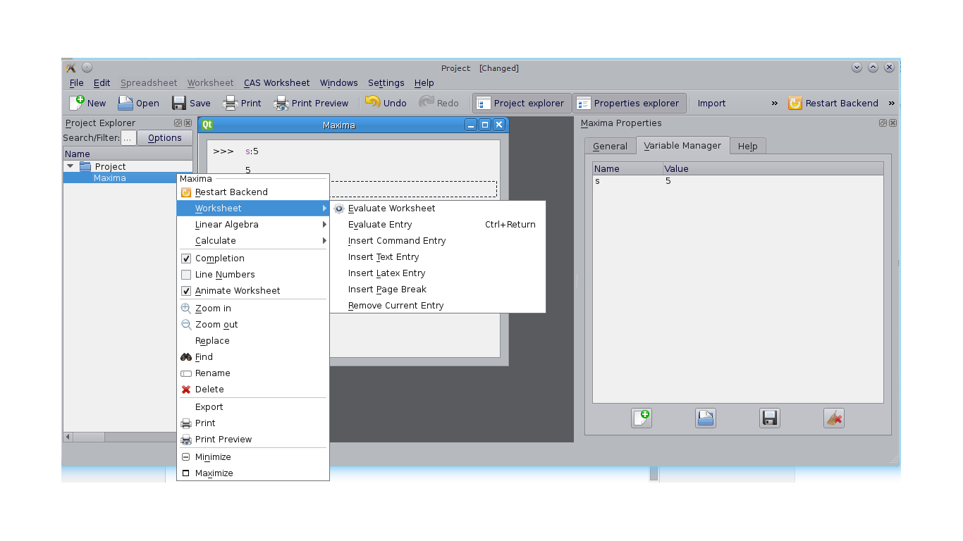 Variable manager and actions
